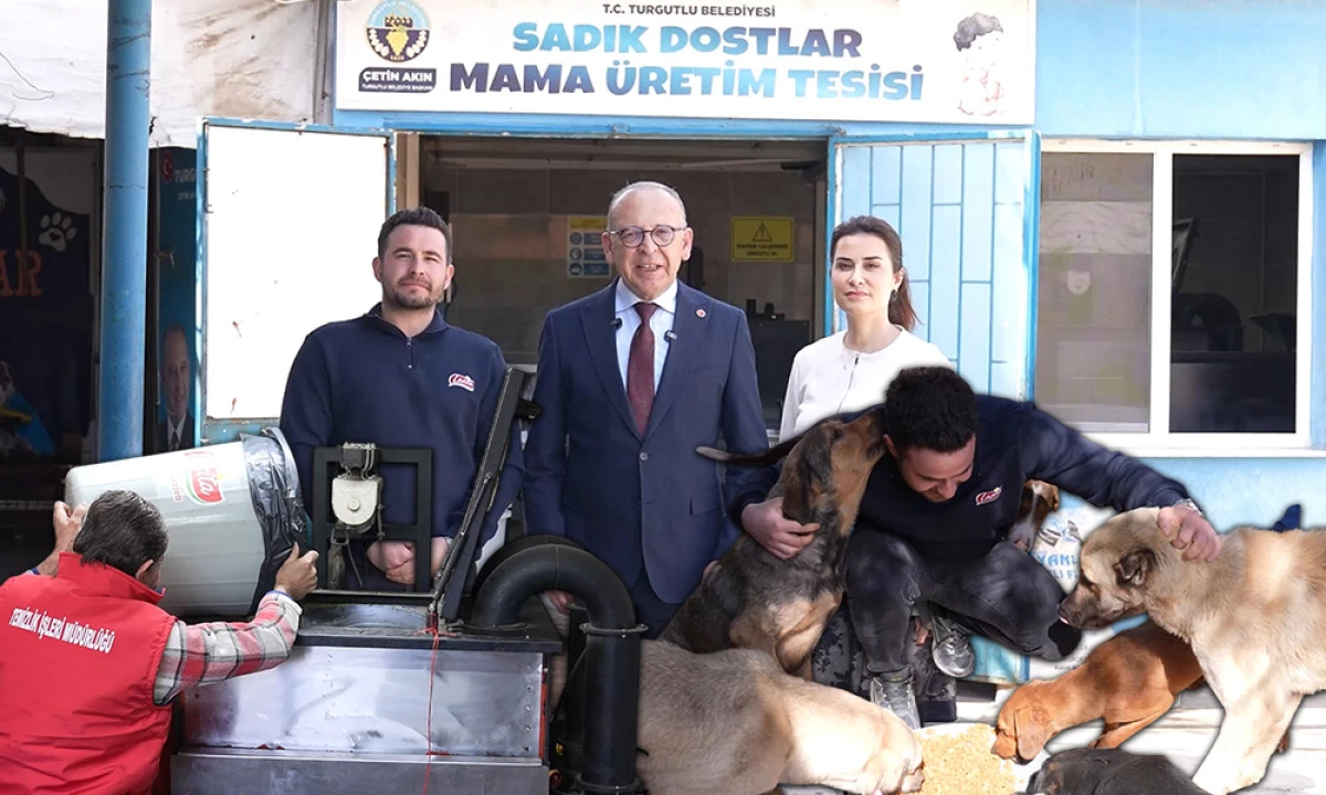 MAMA &Uuml;RETİMİNDE TURGUTLU MODELİ