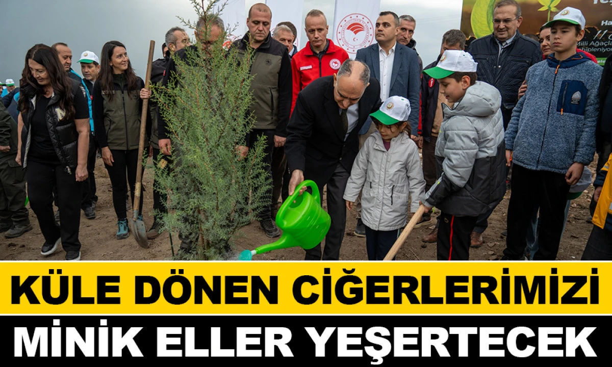 MANİSA'DA 35 BİN FİDAN TOPRAKLA BULUŞTU