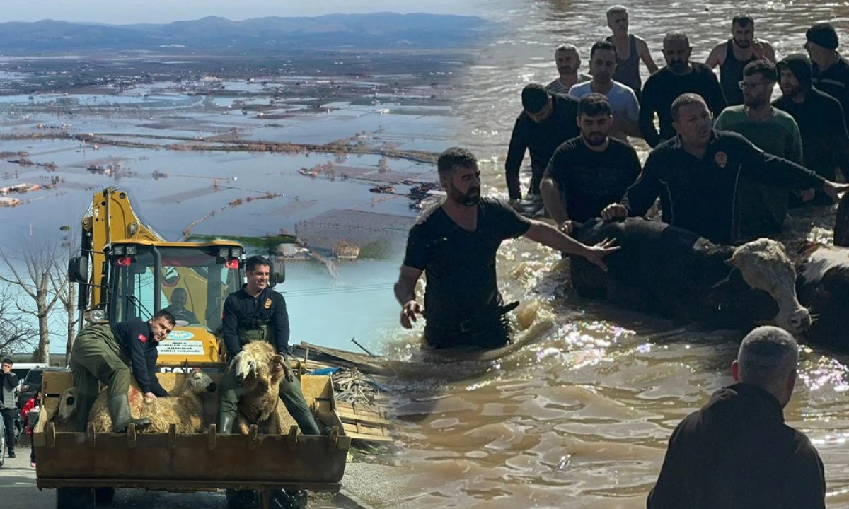 MANİSA&rsquo;DA &lsquo;MUSON&rsquo; MANZARALARI! EKİPLER SEFERBER OLDU