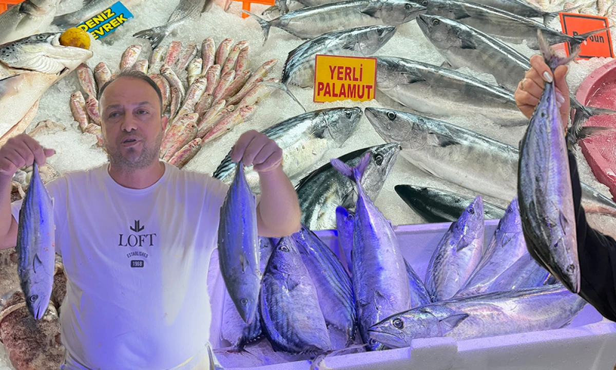 MANİSA&rsquo;DA PALAMUT TARTIŞMASI: BOLLUK VAR AMA...
