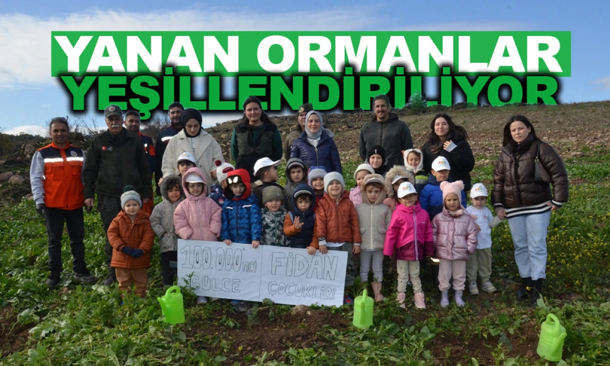 MANİSA'DA YANAN ORMANLARDA YEŞİLLENDİRİLİYOR