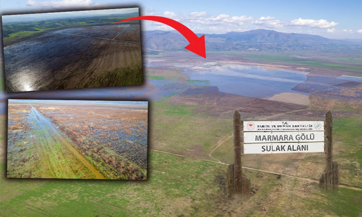 MARMARA G&Ouml;L&Uuml;&rsquo;NDEN SEVİNDİREN HABER!