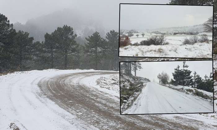 MART KAPIDAN BAKTIRDI