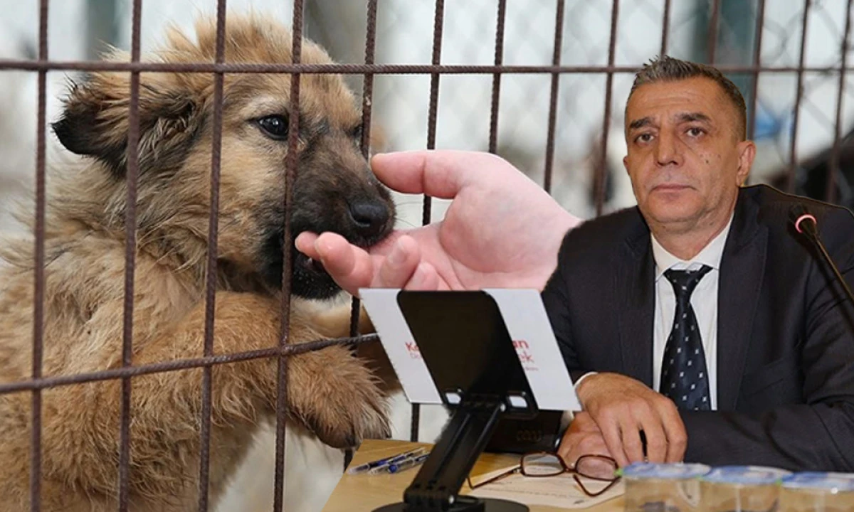 ŞEHZADELER MECLİSİNDE 'BARINAK' MESAİSİ