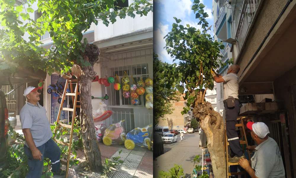 ŞEHZADELER&rsquo;DEN B&Uuml;Y&Uuml;K &Ccedil;APLI &lsquo;BUDAMA&rsquo; SEFERBERLİĞİ