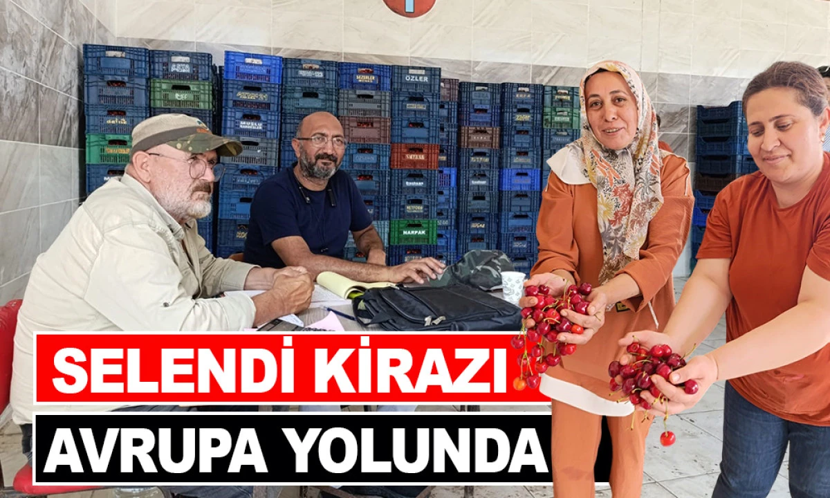 SELENDİ KİRAZI AVRUPA YOLUNDA