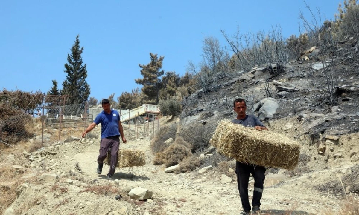 Seydikemer&rsquo;de yaralar hızla sarılıyor