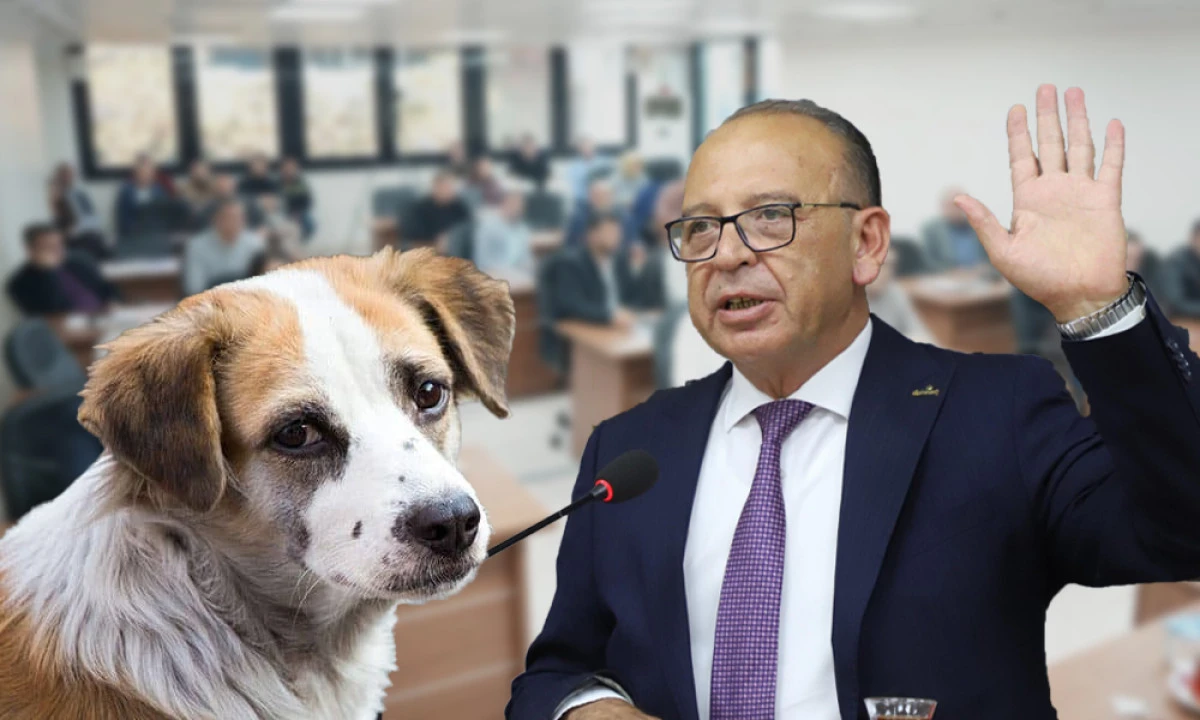 SOKAK HAYVANLARI İÇİN MAMA ÜRETİM TESİSİ GENİŞLETİLİYOR