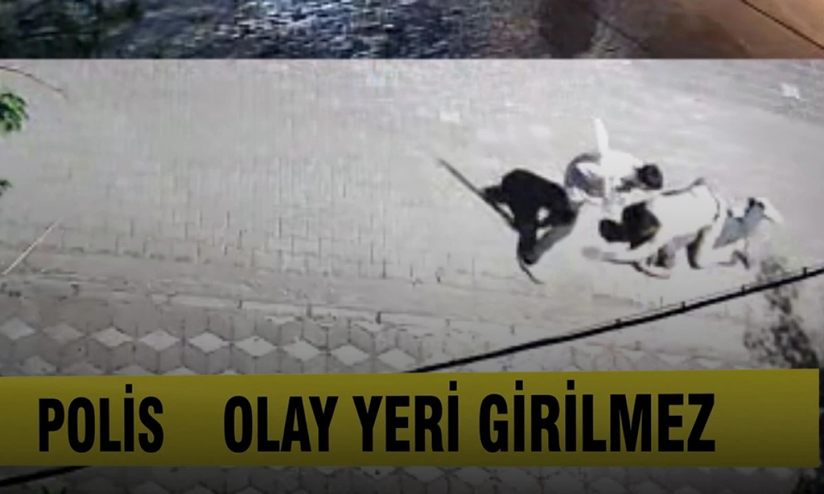 SOKAK ORTASINDA DEHŞET: 6 YERİNDEN BI&Ccedil;AKLANDI
