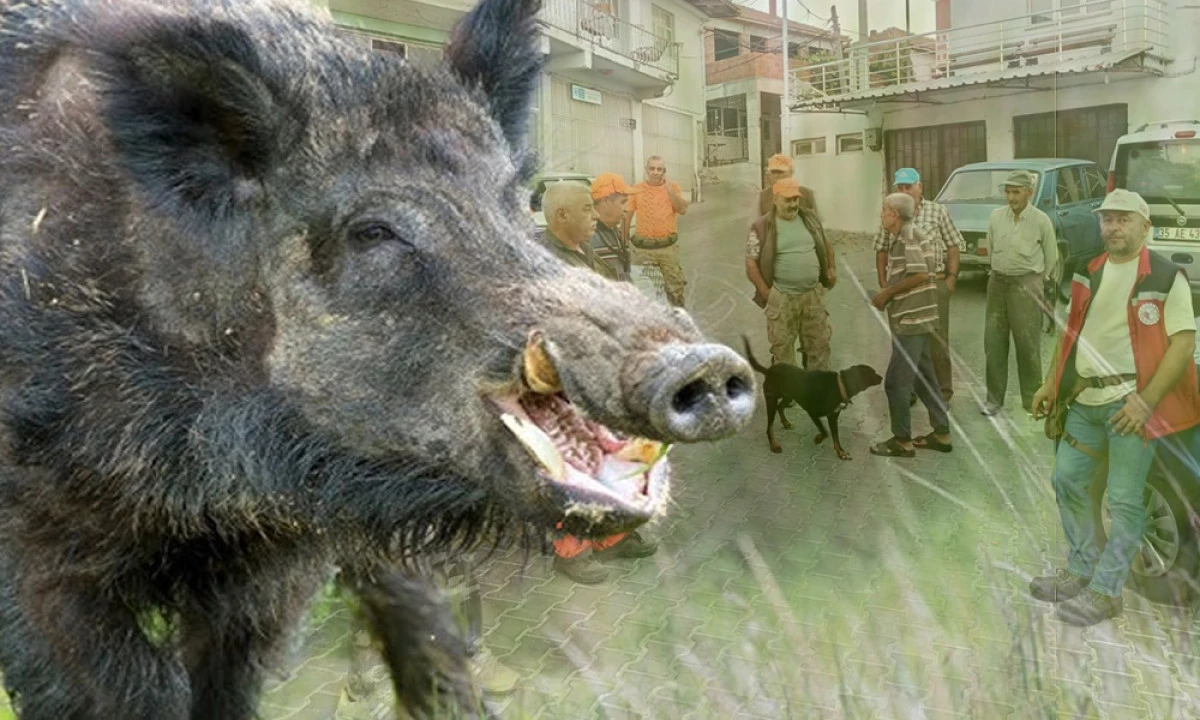 SOMA’DA “DOMUZ” MESAİSİ!