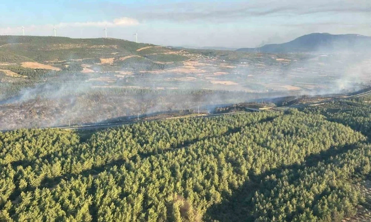 SOMA'DAKİ ORMAN YANGINI KONTROL ALTINA ALINDI