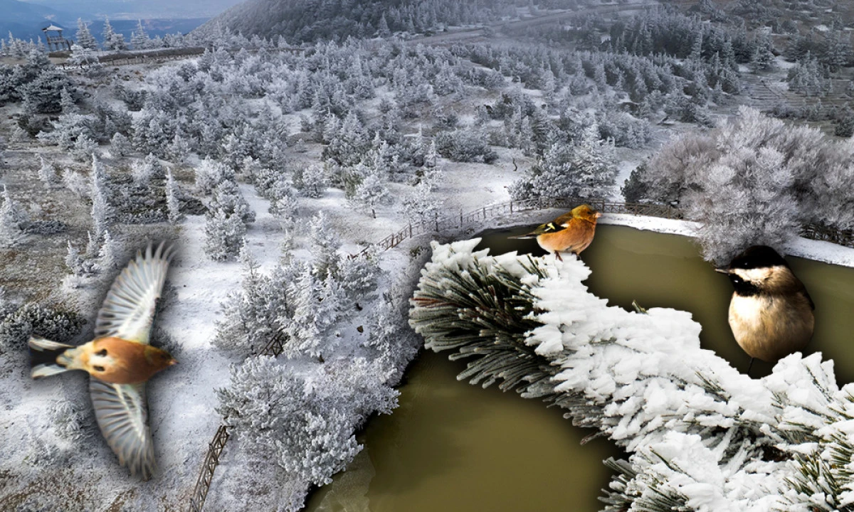 SPİL DAĞI BUZ KESTİ