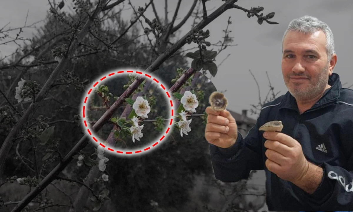 ŞUBAT AYINDA ŞAŞIRTAN G&Ouml;R&Uuml;NT&Uuml;!