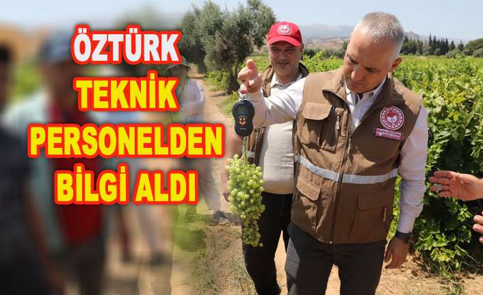 SULTANİ &Ccedil;EKİRDEKSİZ &Uuml;Z&Uuml;MDE REKOLTE &Ccedil;ALIŞMALARINA BAŞLANDI 