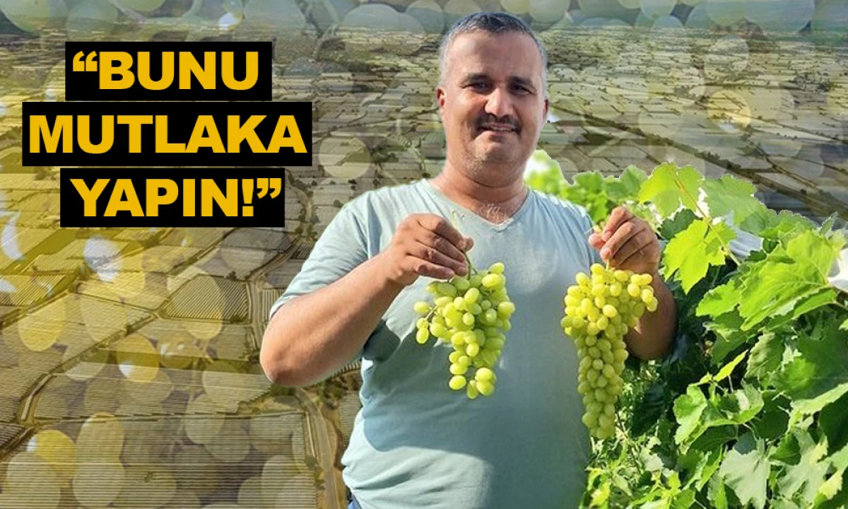 SULTANİYE ÜZÜMDE HASRET SONA ERDİ