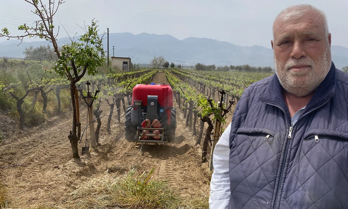 SULTANİYE &Uuml;Z&Uuml;M&Uuml; İ&Ccedil;İN DEV PROJE