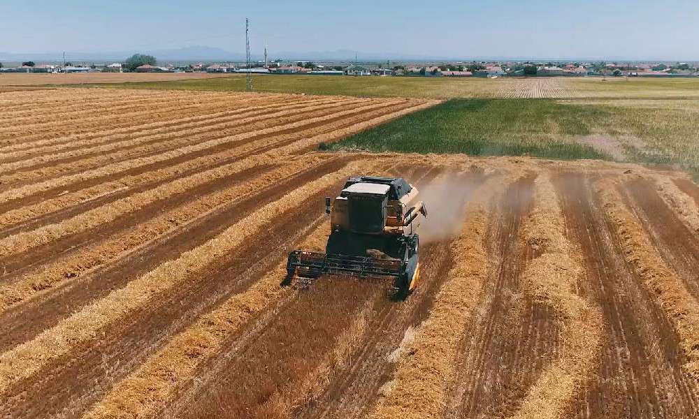 TARIM &Uuml;FE AĞUSTOS AYI'NDA ARTIŞTA!