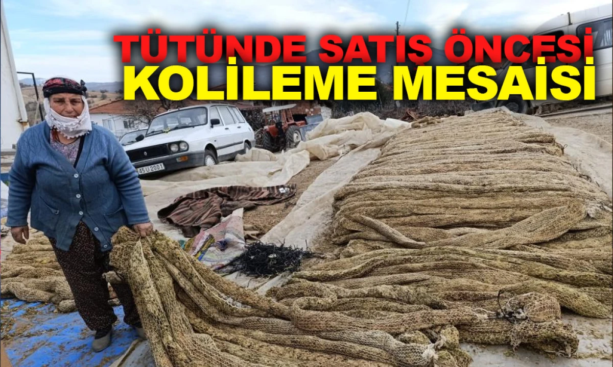 T&Uuml;T&Uuml;NDE SATIŞ &Ouml;NCESİ KOLİLEME MESAİSİNDE
