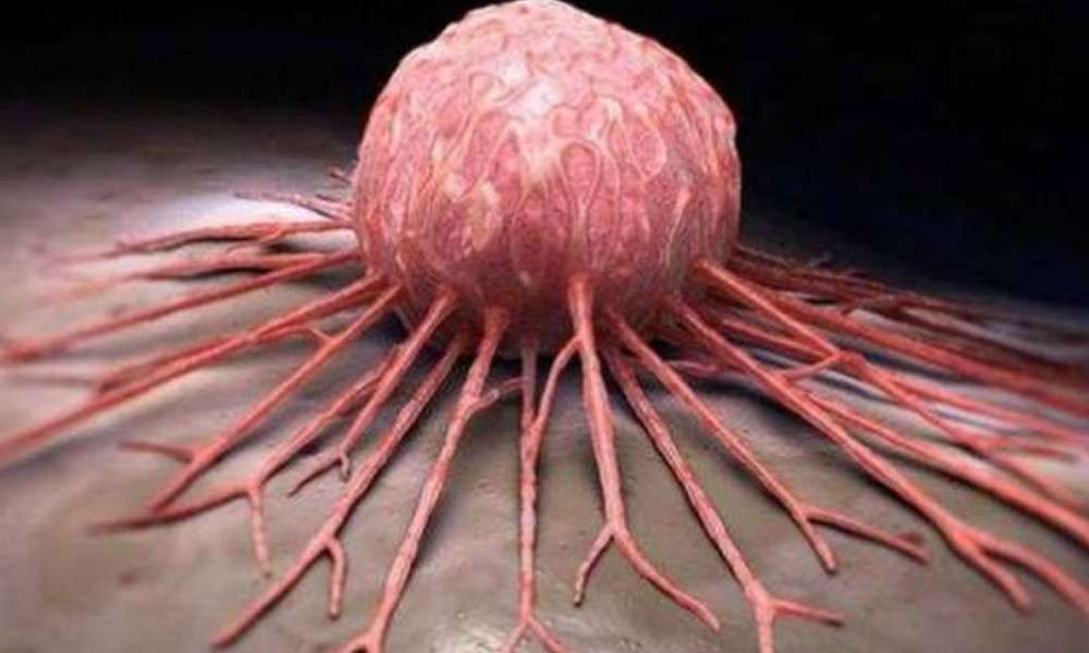 UĞUR ŞAHİN KANSER İLACI İ&Ccedil;İN TARİH VERDİ