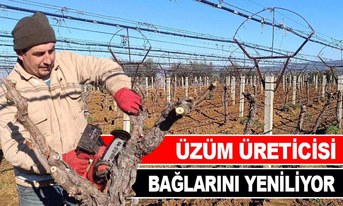 &Uuml;Z&Uuml;M &Uuml;RETİCİSİ BAĞLARINI YENİLİYOR
