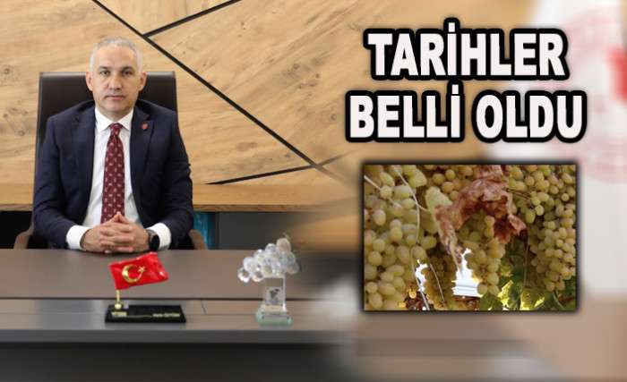 &Uuml;Z&Uuml;M &Uuml;RETİCİSİNİ HASAT VE İHRACAT HEYECANI SARDI