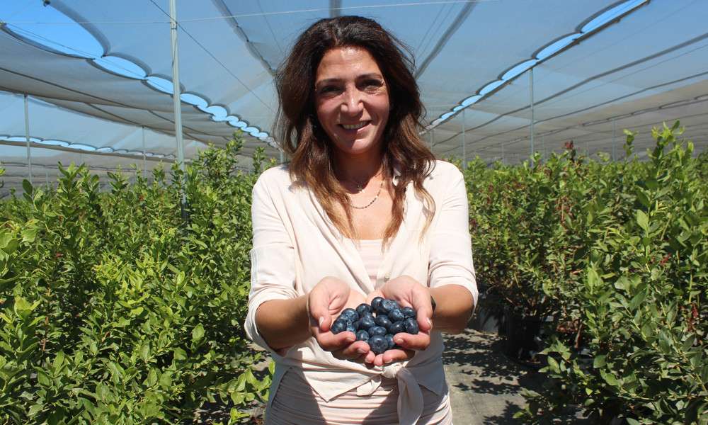 YABAN MERSİNİ HAYATININ DÖNÜM NOKTASI OLDU