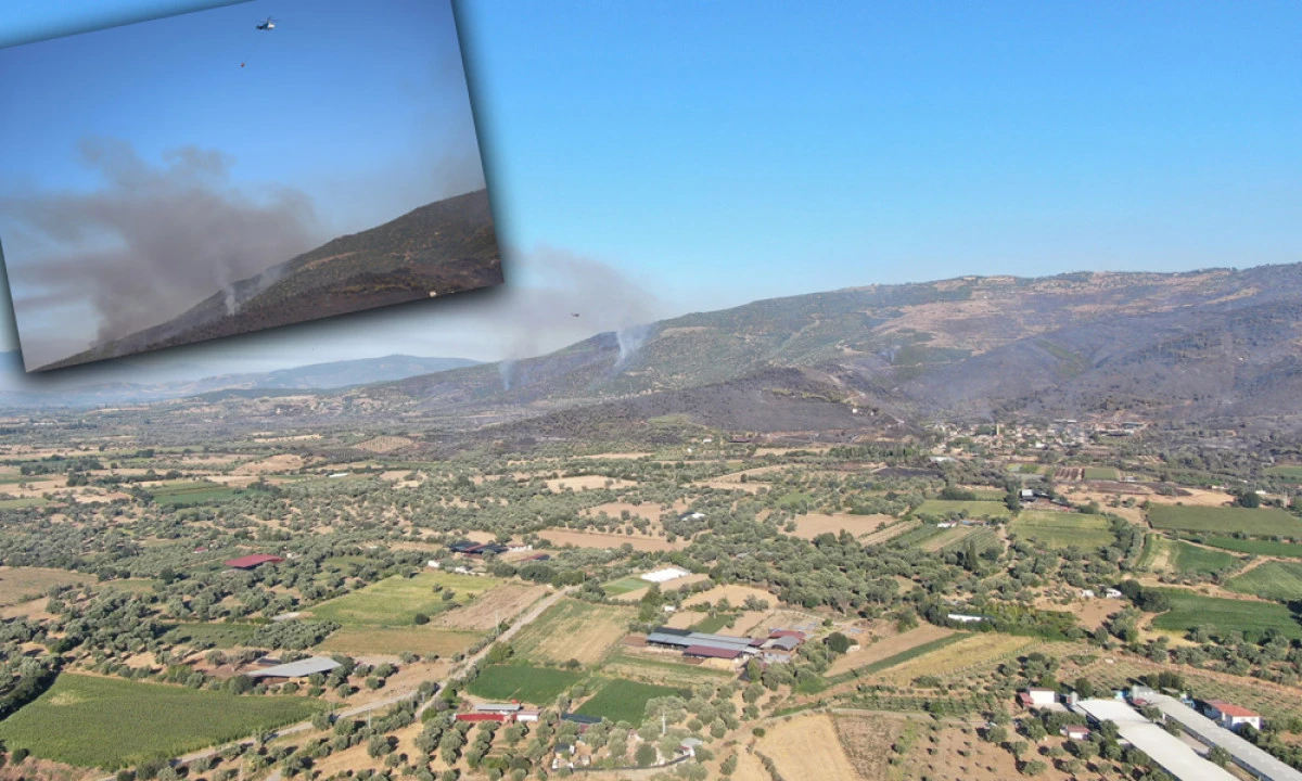 YANAN ORMANLARIN GÖRÜNTÜSÜ YÜREKLERİ BURKTU