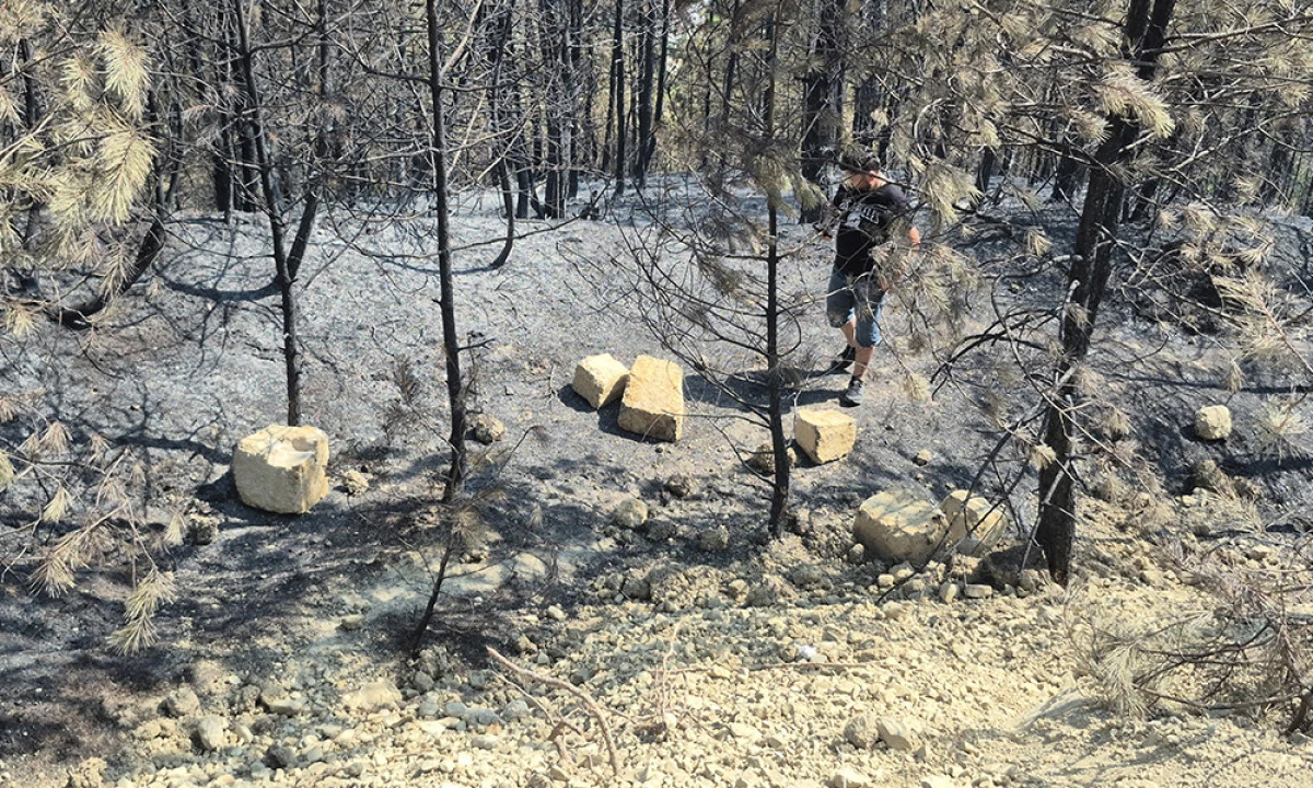 Yangının Yol Açtığı Tahribat Havadan Görüntülendi
