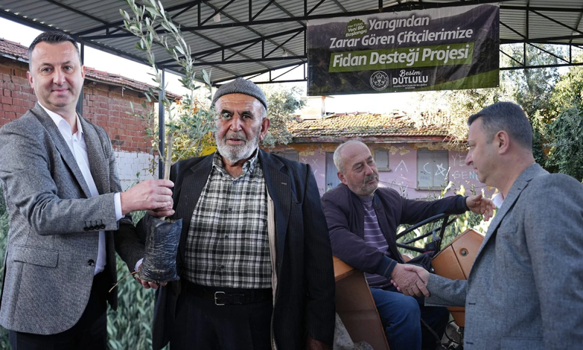 YANGINZEDELERE ZEYTİN FİDANI DESTEĞİ