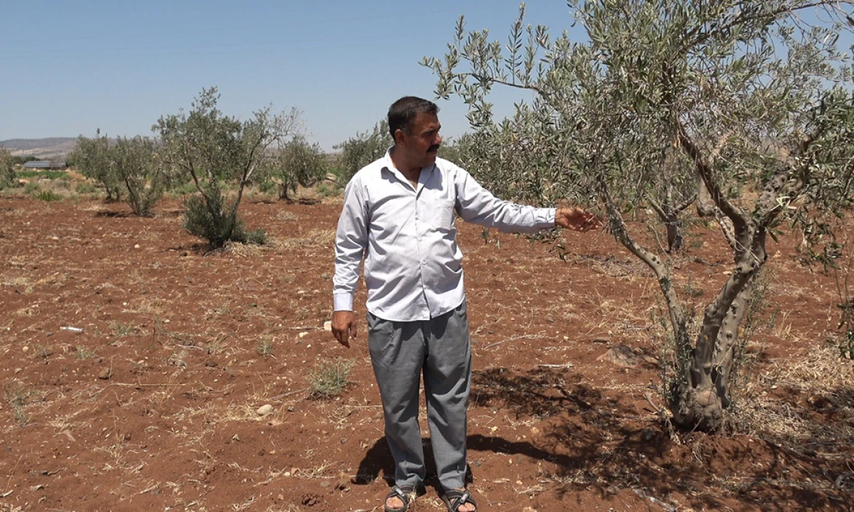 Yavuzlu köyünde tarım arazileri susuz kaldı