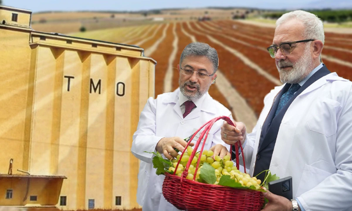 YENİŞEHİRLİOĞLU'NDAN ÜRETİCİYE TMO MÜJDESİ