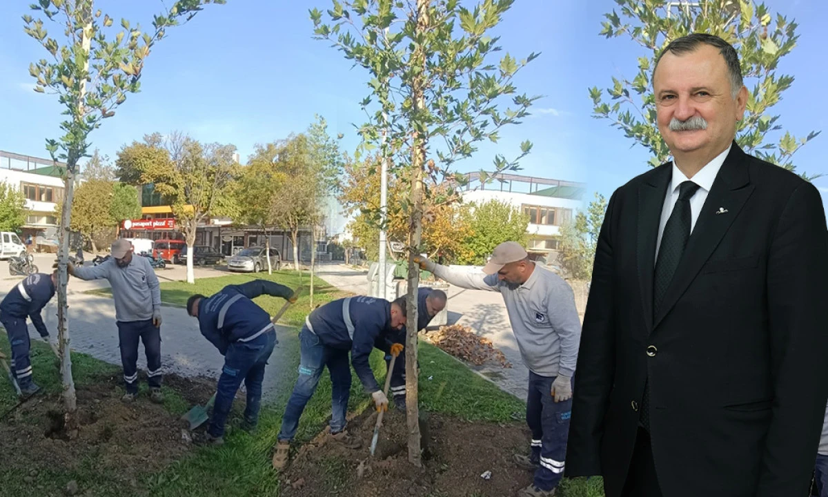 YUNUSEMRE’DE YENİ FİDANLAR TOPRAKLA BULUŞUYOR